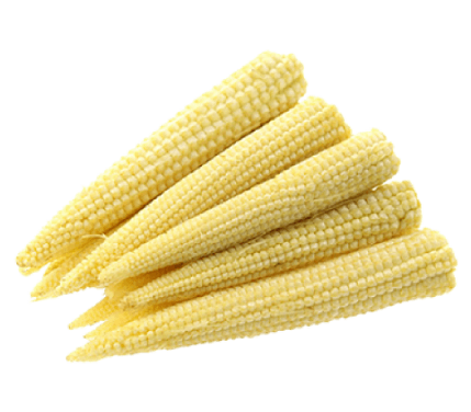 Baby corn image