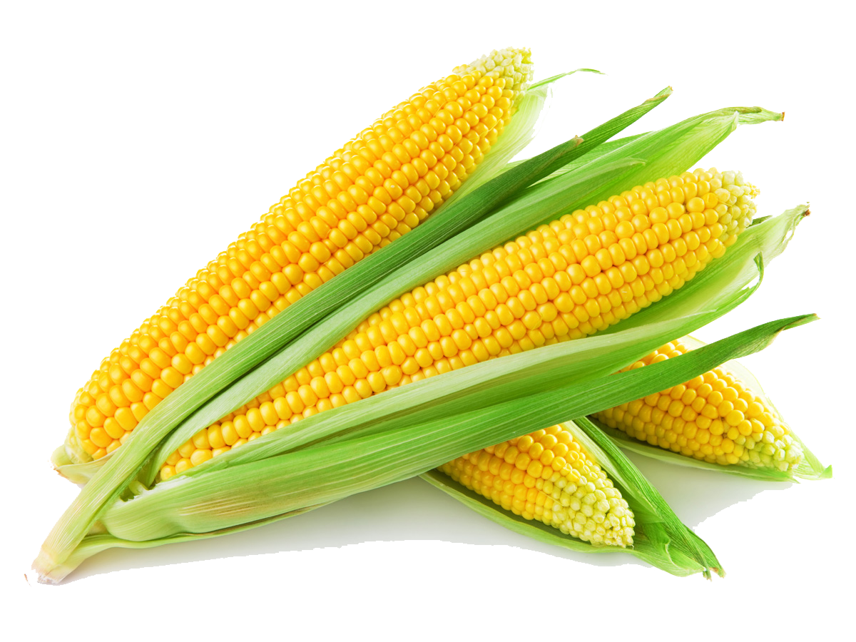 Karmaastar Enterprises Private Limited Key Product - Sweet Corn
