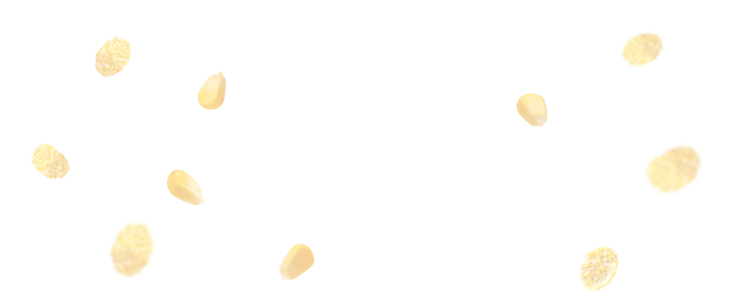 demo